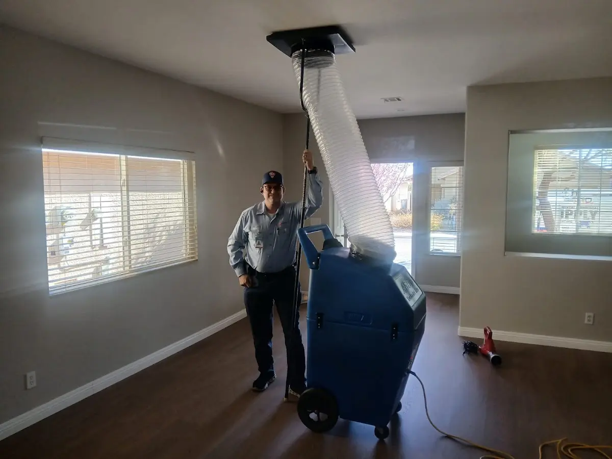 Professional Dryer Vent Cleaning work inside a Beekman home